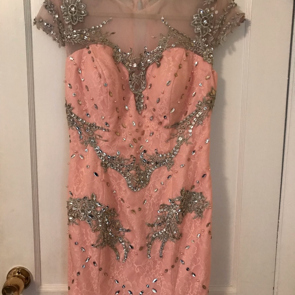 Handmade Gown! Amazing! Pink and Silver !